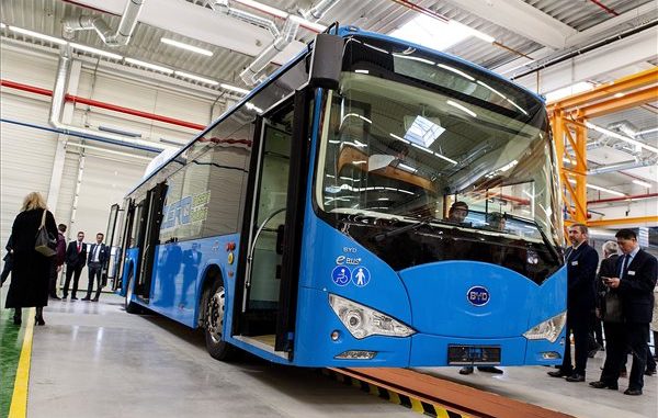 bydbusz1