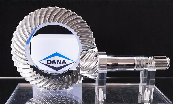 dana_fogas
