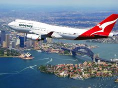 qantas-leafcutter
