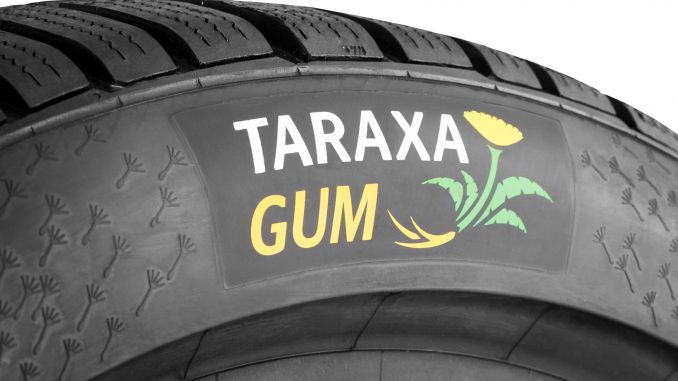 WinterContact TS 850 P Taraxagum Logo