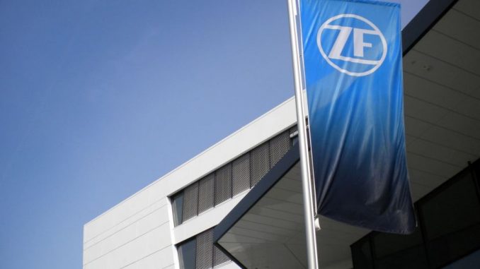 zf_nemeto
