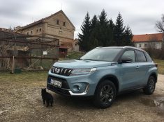 vitara10