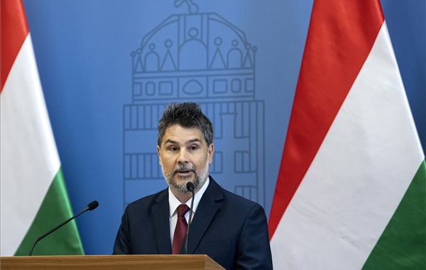 nemeth_adam_yaris_kabin