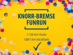 Knorr-Bremse Fékrendszerek