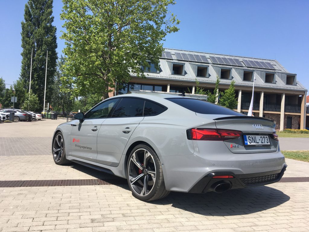 rs51