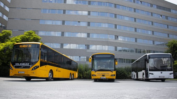 volanbusz Econell, Volánbusz