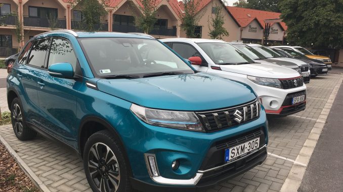 suzuki5 Suzuki