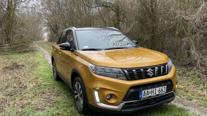 vitara2 Vitara