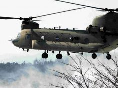 Chinook