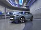 Countryman