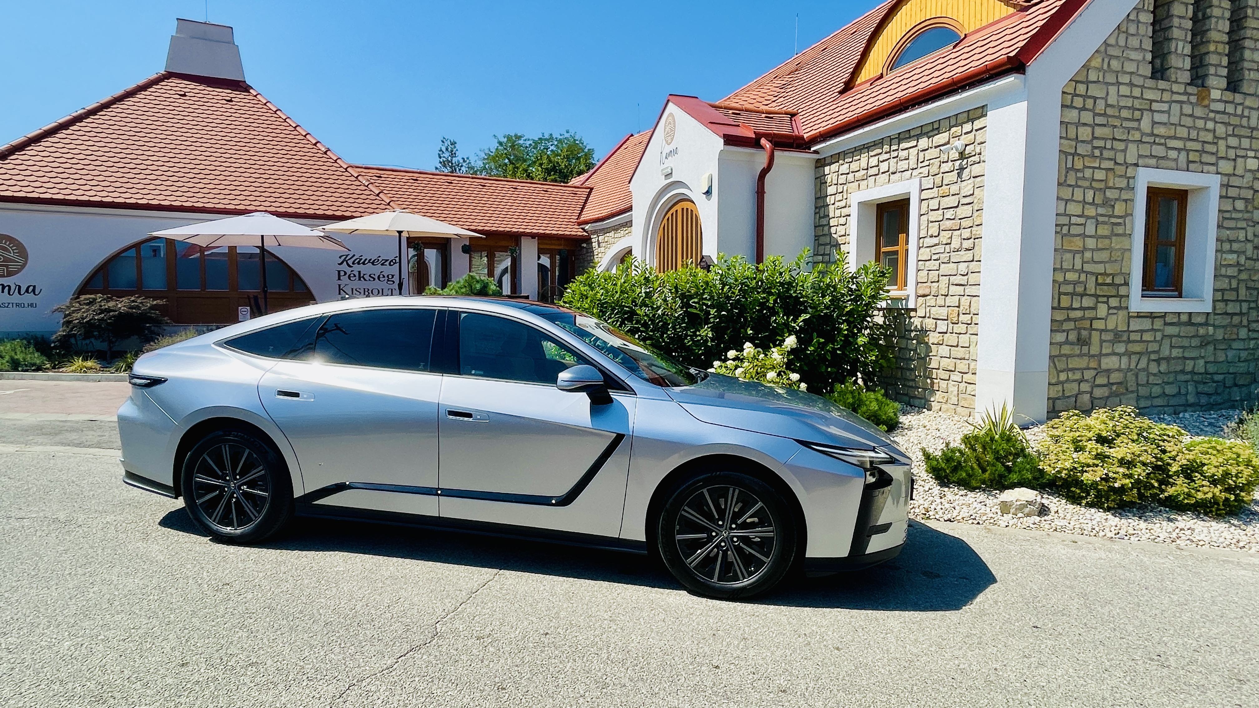 IMG_8211