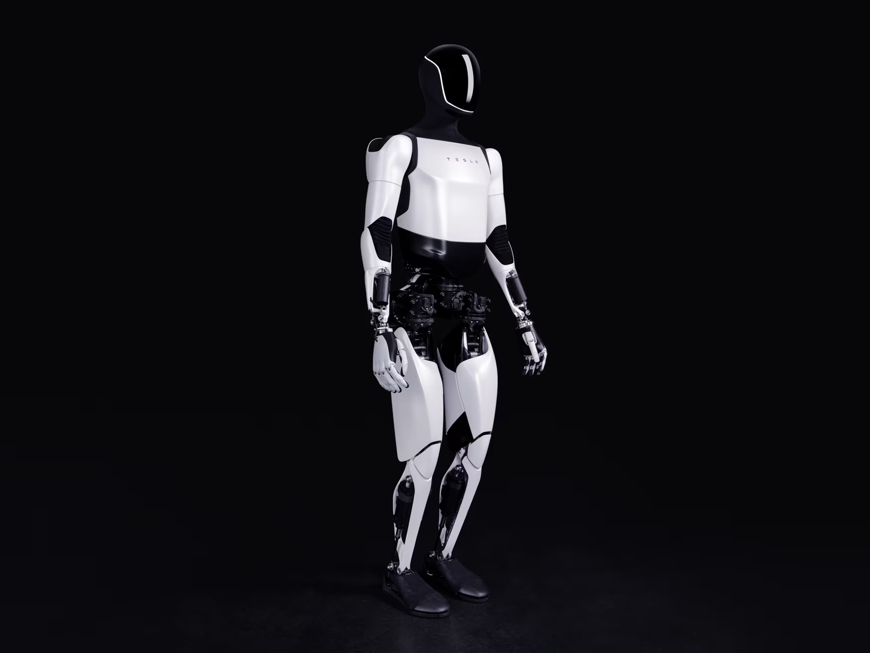 Tesla-Bot-AI